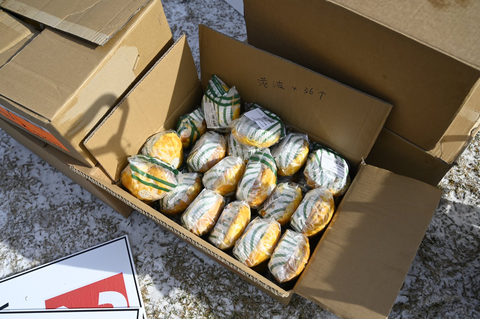 Parliament Hill procession, March 2026